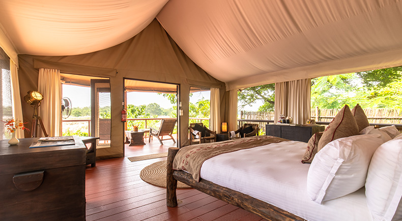 Luxurious Tents