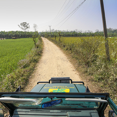 Half Day Jeep Safari