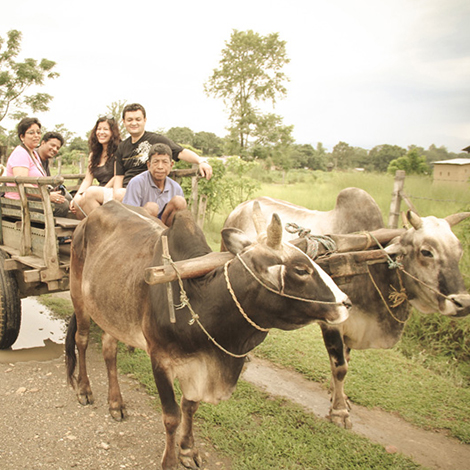 Bullock Cart Ride